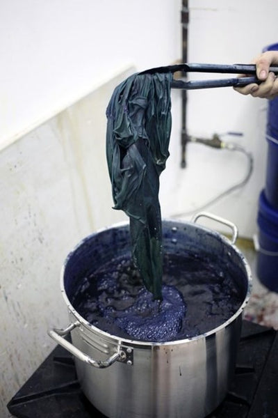 The Charismatic Beauty of Indigo